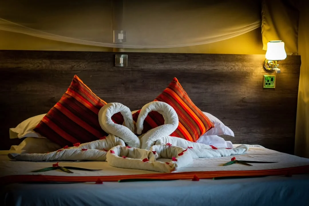 Zebra Plains Mara Camp